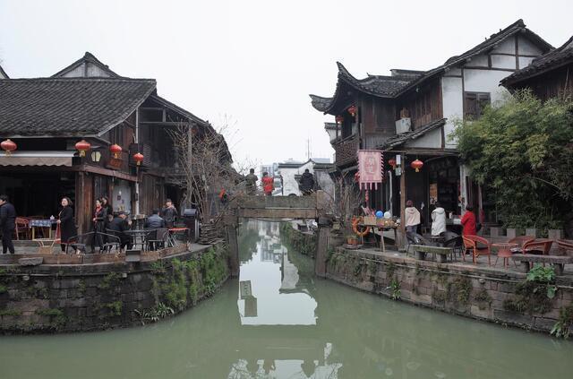 拯救枯树